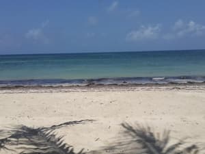 thumbnail: Beach