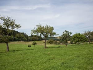 thumbnail: View from property