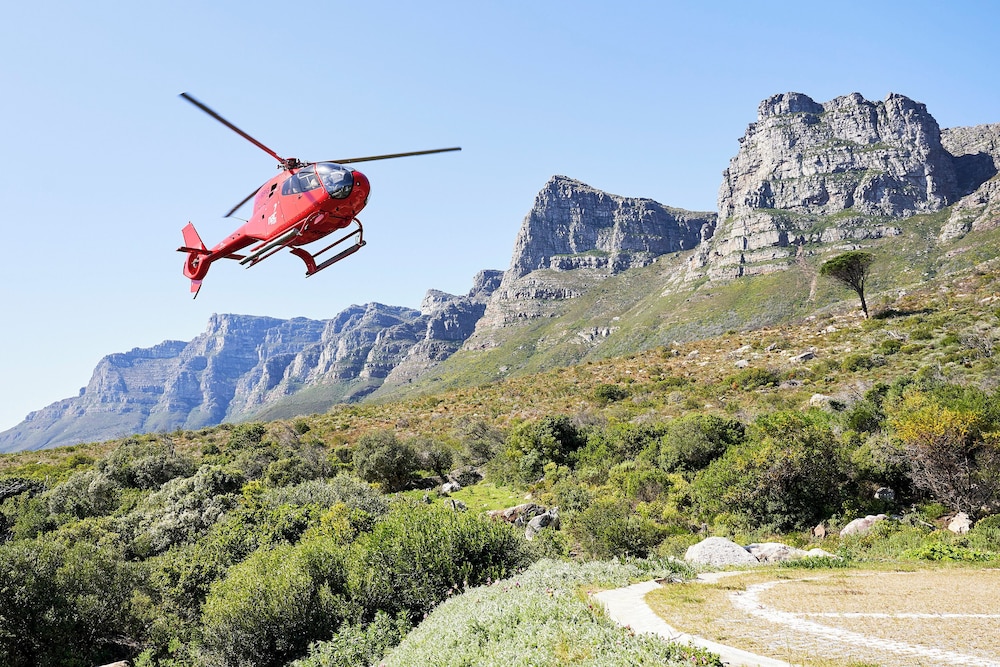 Helicopter/plane tours
