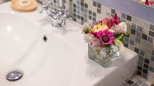 thumbnail: Interior