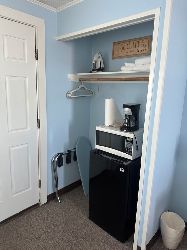 Mini-refrigerator
