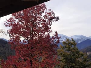 thumbnail: Mountain view