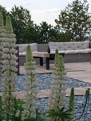 thumbnail: Garden
