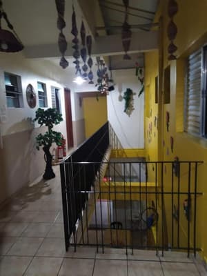 thumbnail: Interior