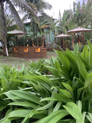 thumbnail: Garden