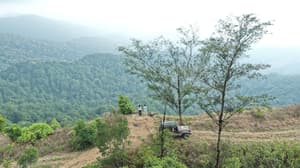 thumbnail: View from property
