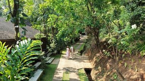 thumbnail: Garden