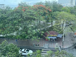 thumbnail: View from property
