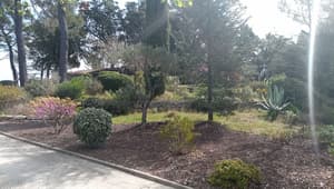 thumbnail: Exterior