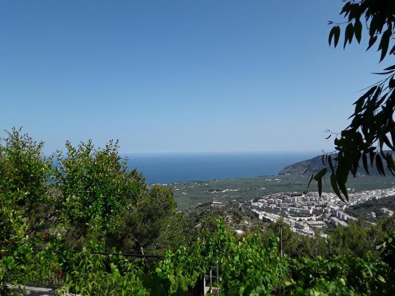 General view