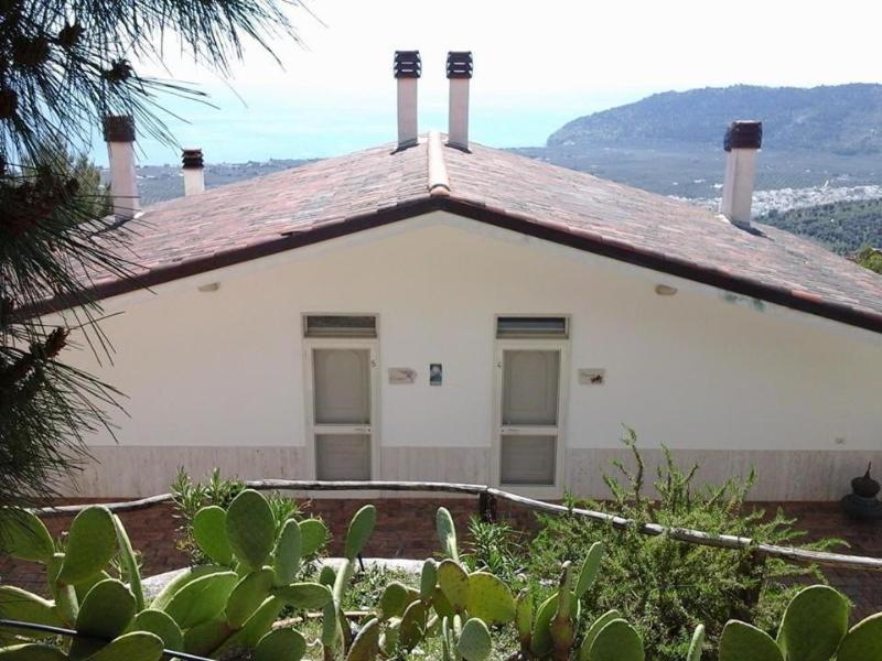 General view