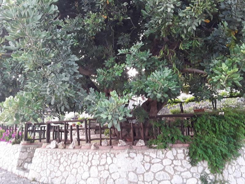 General view