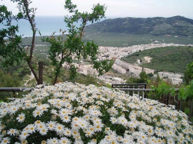 General view