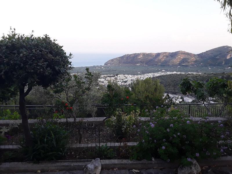 General view