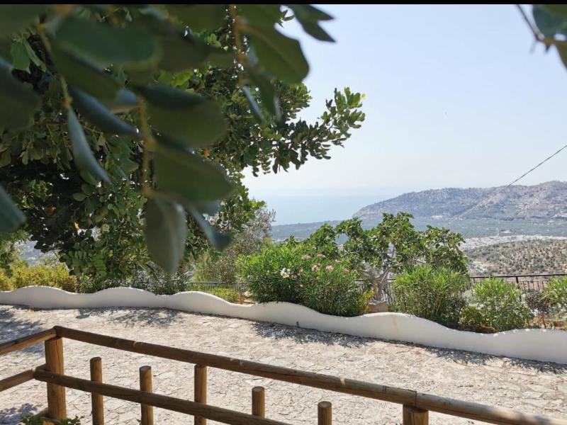 General view