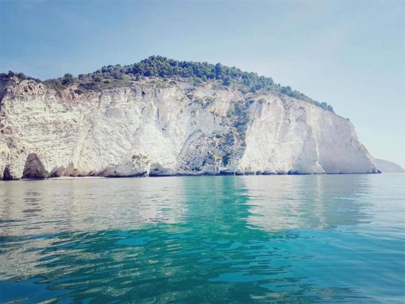 General view