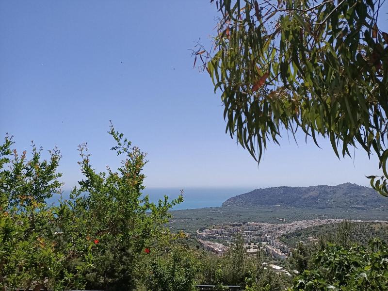 General view