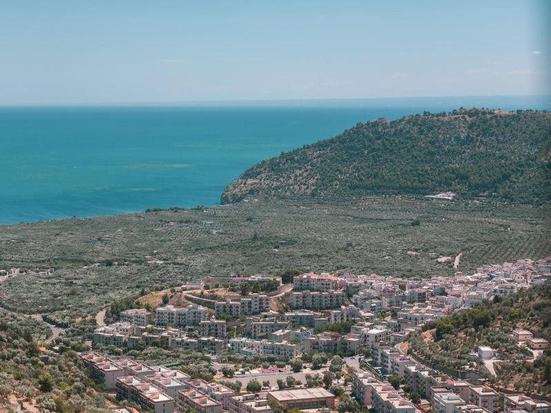 General view