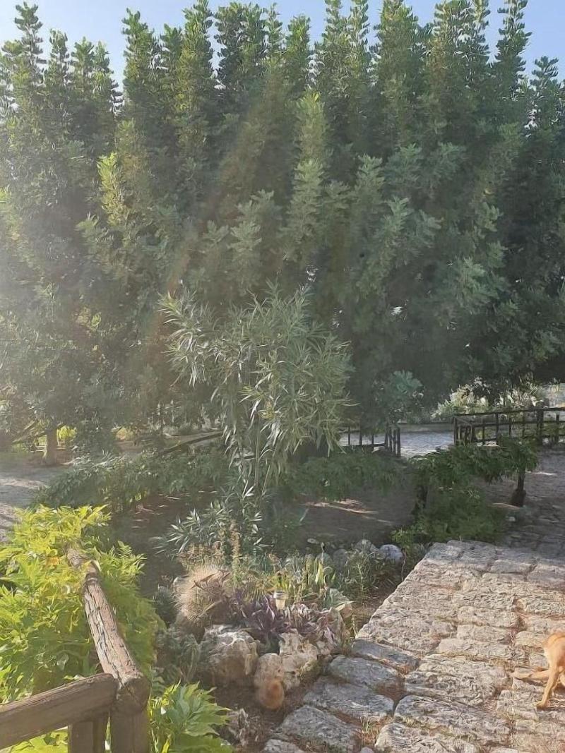 General view