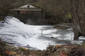 thumbnail: Property grounds