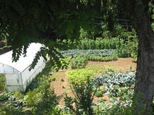 thumbnail: Property grounds