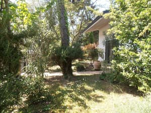 thumbnail: Garden