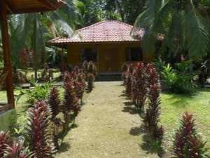 thumbnail: General view