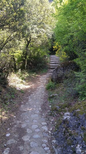 thumbnail: Hiking