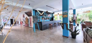 thumbnail: Reception