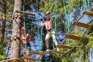 thumbnail: Ropes course (team building)