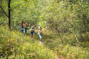 thumbnail: Hiking