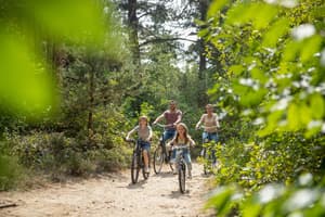 thumbnail: Bicycling