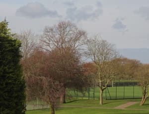 thumbnail: View from room