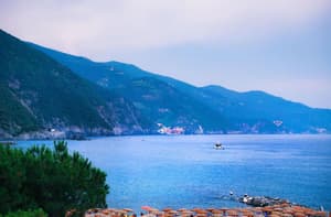thumbnail: General view