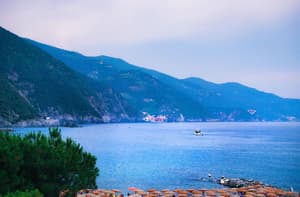 thumbnail: General view