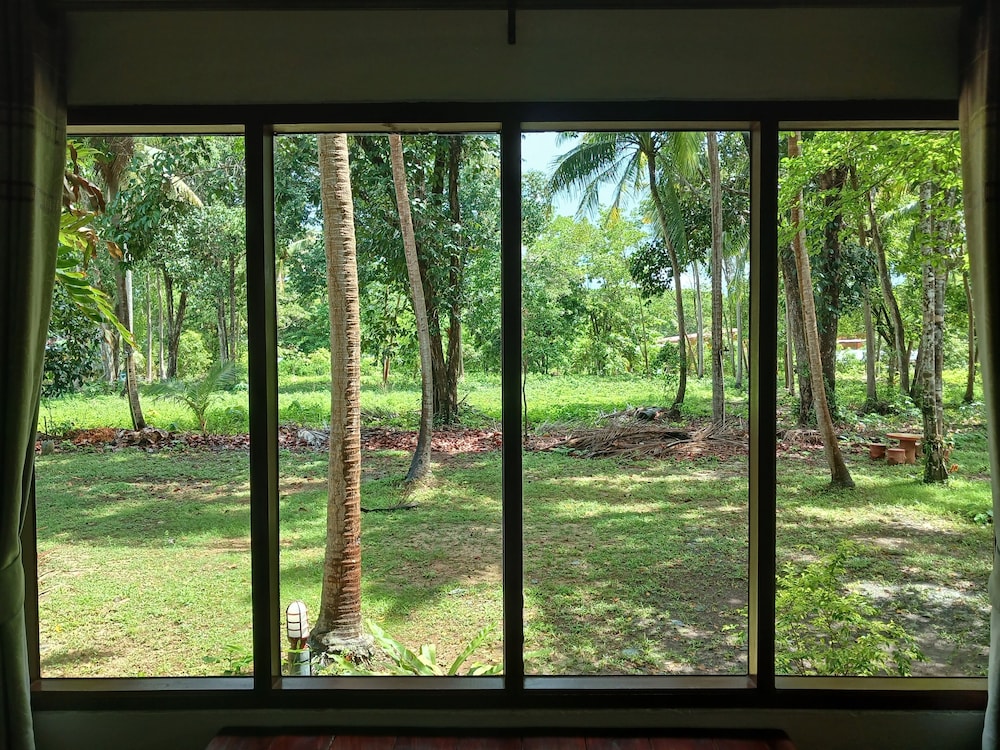 Garden view
