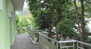thumbnail: 146028553.jpg
