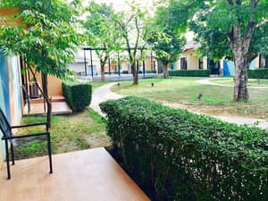 thumbnail: Terrace/patio