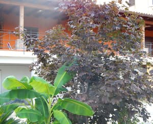 thumbnail: Exterior detail