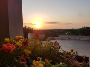 thumbnail: Rooftop terrace