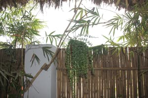 thumbnail: View from property