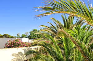 thumbnail: Children's play area - outdoor