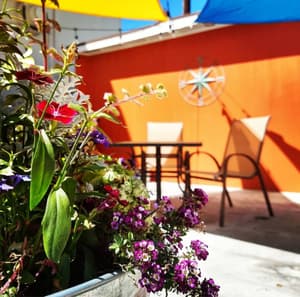 thumbnail: Outdoor dining