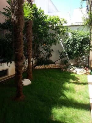 thumbnail: Garden