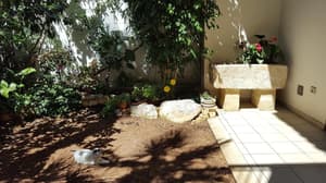 thumbnail: Property grounds