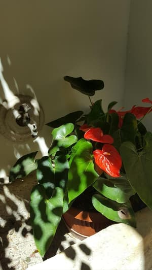 thumbnail: Interior