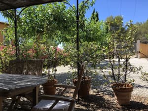 thumbnail: Terrace/patio