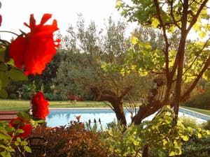 thumbnail: Outdoor pool