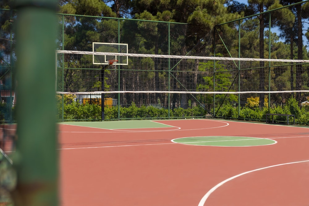 Basketball court