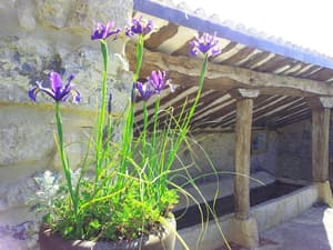 thumbnail: General view